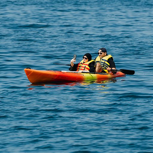 Pedalos Rental