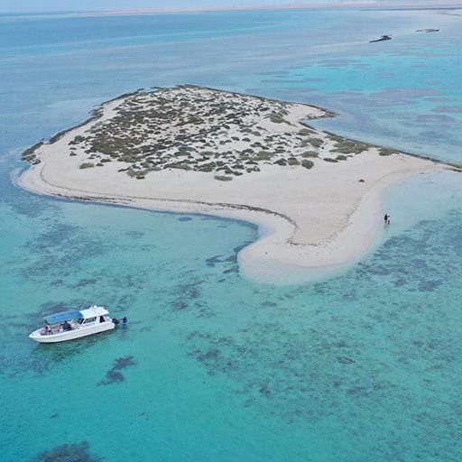 Baridi Island 