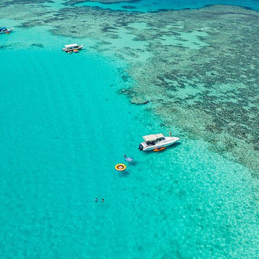 Bayadah Reef